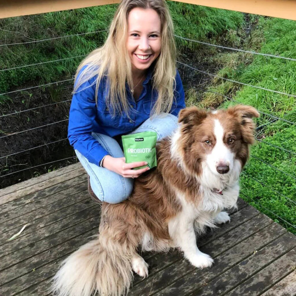 Probiotics for Dogs
