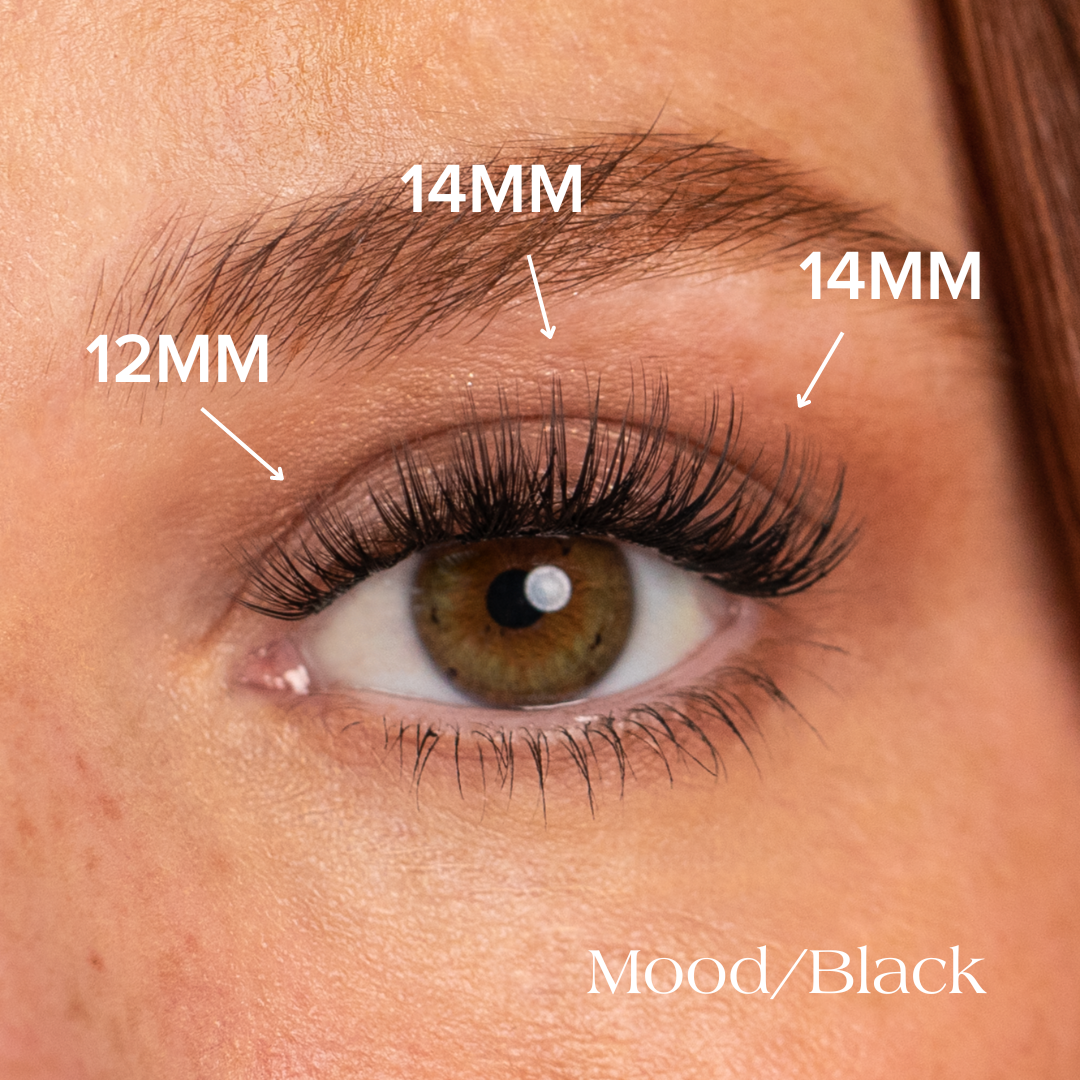 Mood black lash map
