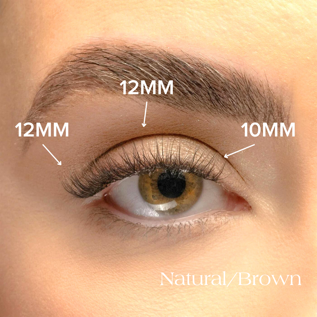 Natural Brown lashes in sizes 12mm and 10mm