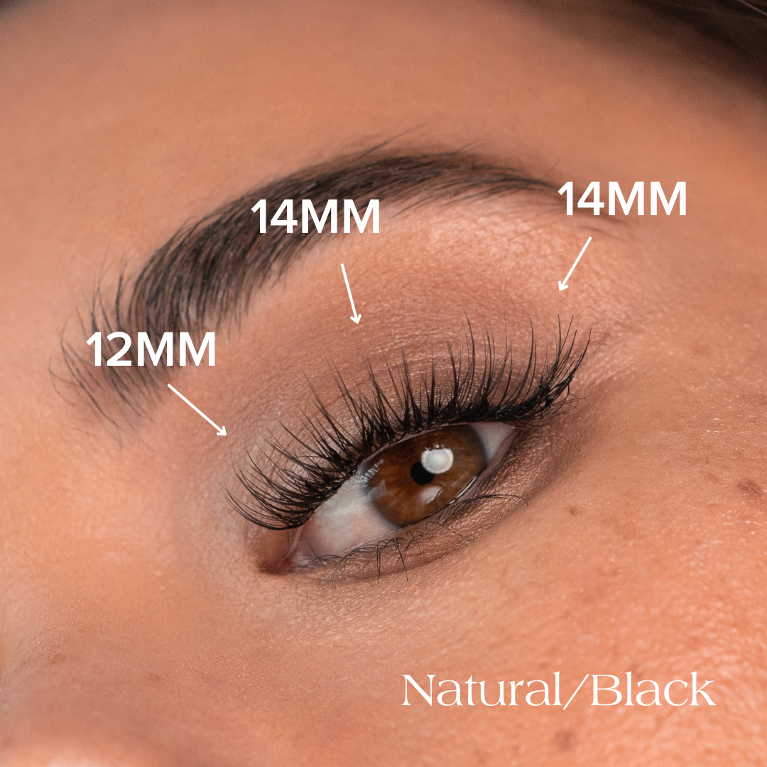 natural black lash map